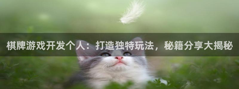 沐鸣娱乐平台登录不了：棋牌游戏开发个人：