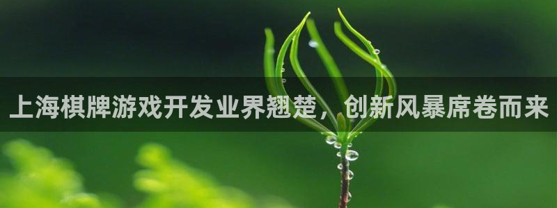 沐鸣娱乐怎么赚钱：上海棋牌游戏开发业界翘