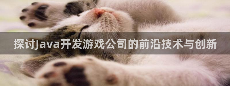 沐鸣登陆测速：探讨Java开发游戏公司的