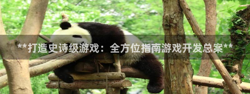 沐鸣平台负责人是谁：**打造史诗级游戏：