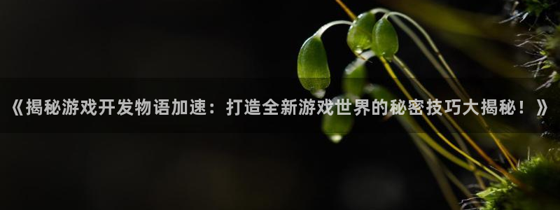 沐鸣平台矩58847：《揭秘游戏开发物语