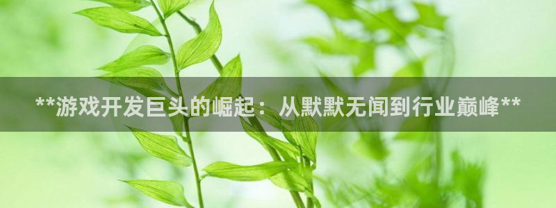 沐鸣科技做的游戏：**游戏开发巨头的崛起