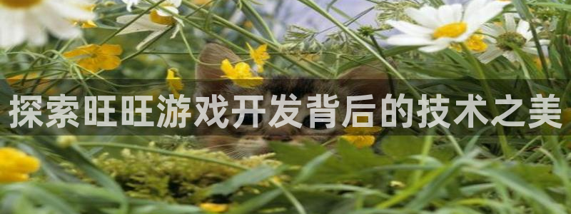 沐鸣娱乐官方网站入口：探索旺旺游戏开发背