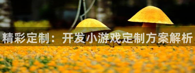 沐鸣平台官网：精彩定制：开发小游戏定制方