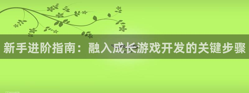 沐鸣4主管：新手进阶指南：融入成长游戏开