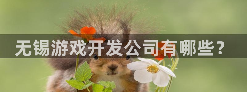 沐鸣娱乐官方网站首页：无锡游戏开发公司有