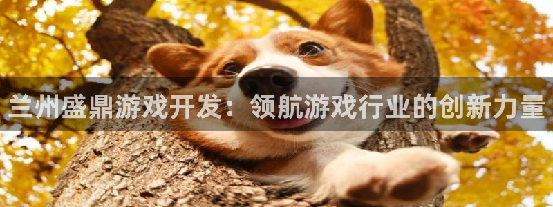 沐鸣娱乐平台登录入口官网：兰州盛鼎游戏开
