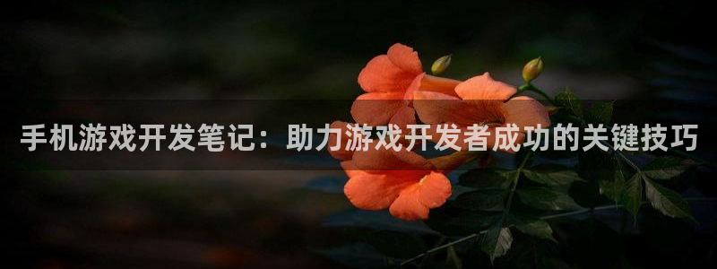 沐鸣娱乐平台登录入口官网：手机游戏开发笔