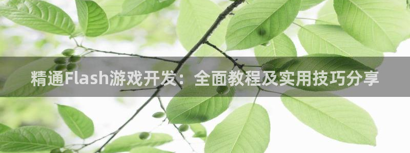沐鸣官网注册：精通Flash游戏开发：全