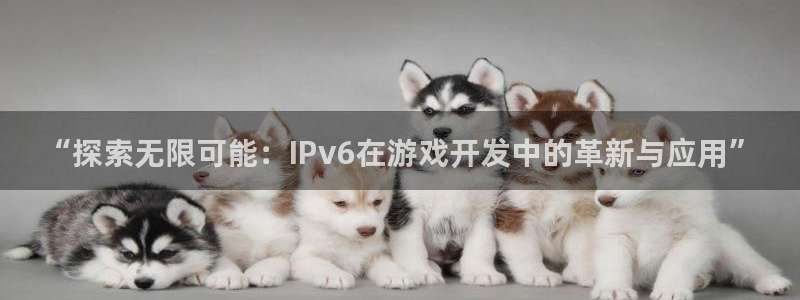 沐鸣代理登陆：“探索无限可能：IPv6在