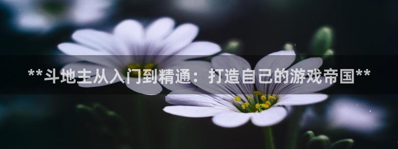 沐鸣娱乐账号怎么注册：**斗地主从入门到