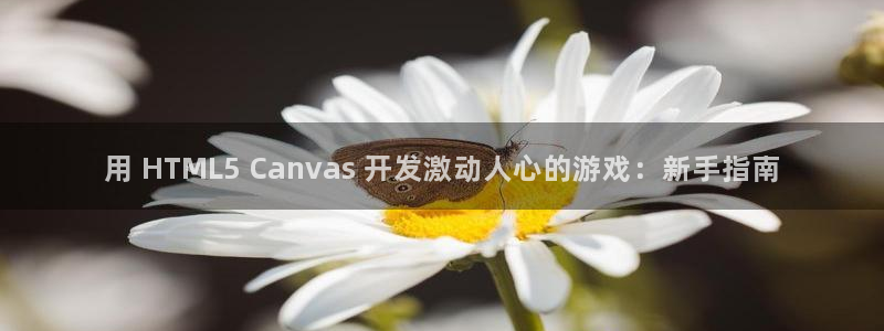 沐鸣平台是黑平台吗：用 HTML5 Ca