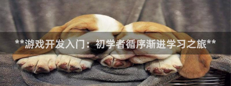 沐鸣科技怎么样知乎：**游戏开发入门：初