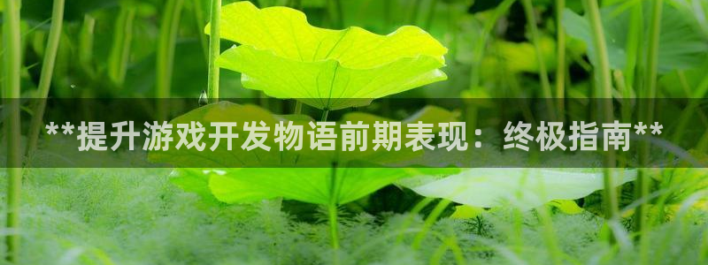 沐鸣注册网站：**提升游戏开发物语前期表