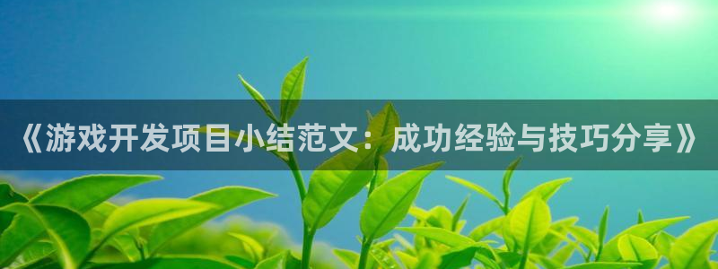 沐鸣注册入口：《游戏开发项目小结范文：成