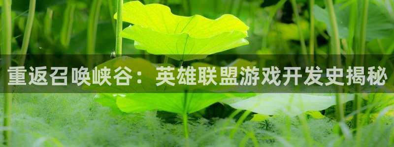 沐鸣娱乐平台登录不了：重返召唤峡谷：英雄