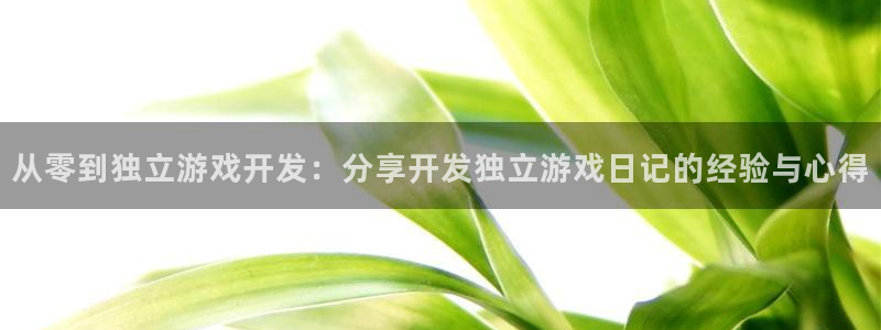 沐鸣平台代理：从零到独立游戏开发：分享开