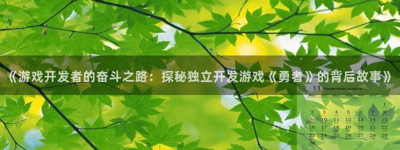 沐鸣代理注册：《游戏开发者的奋斗之路：探