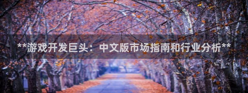 沐鸣官网登录：**游戏开发巨头：中文版市