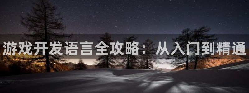 沐鸣娱乐注册登录平台是什么：游戏开发语言