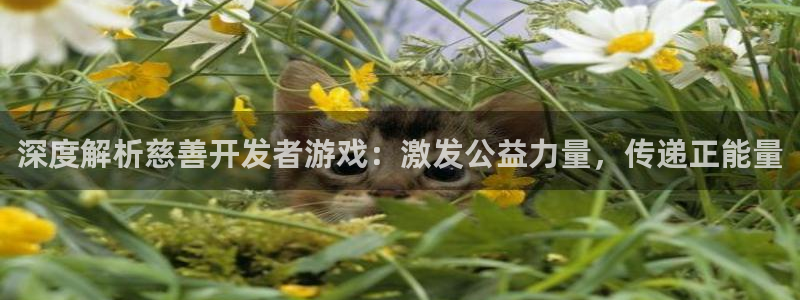 沐鸣代理：深度解析慈