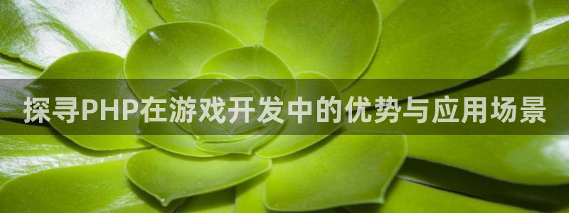 沐鸣1平台注册：探寻PHP在游戏开发中的优势与应用